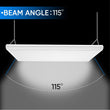 4FT Linear LED High Bay Light 165W/200W/225W Wattage Adjustable, 4000k/5000K/6500K CCT Changeable, Dip Switch, 0 - 10V Dim, 120 - 277V Input Voltage, ETL, DLC 5.1 Listed - LEDMyPlace Load image into Gallery viewer, 4FT Linear LED High Bay Light 165W/200W/225W Wattage Adjustable, 4000k/5000K/6500K CCT Changeable, Dip Switch, 0 - 10V Dim, 120 - 277V Input Voltage, ETL, DLC 5.1 Listed - LEDMyPlace