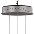 6 - Light 30" Wide Modern/Contemporary Cage LED Chandelier Ceiling Light, 70W, 3000K, 3500LM, Adjustable Height - LEDMyPlace Load image into Gallery viewer, 6 - Light 30" Wide Modern/Contemporary Cage LED Chandelier Ceiling Light, 70W, 3000K, 3500LM, Adjustable Height - LEDMyPlace