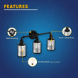 Birdcage Shape Bathroom Light Fixtures, Wall Mount, Matte Black with Clear Glass Shade, 1 - Light/2 - Light/3 - Light, E26 Base, For Damp Locations, Vanity Lighting - LEDMyPlace Load image into Gallery viewer, Birdcage Shape Bathroom Light Fixtures, Wall Mount, Matte Black with Clear Glass Shade, 1 - Light/2 - Light/3 - Light, E26 Base, For Damp Locations, Vanity Lighting - LEDMyPlace