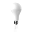 LED Light Bulbs A21 16 Watt 1600 Lumens 5000K Daylight White Dimmable E26 Base Damp Location, Standard LED Bulbs Load image into Gallery viewer, LED Light Bulbs A21 16 Watt 1600 Lumens 5000K Daylight White Dimmable E26 Base Damp Location, Standard LED Bulbs