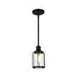1-Light Birdcage Shape Pendant Light, Matte Black Finish, Clear Glass Shade, E26 Base, UL Listed Load image into Gallery viewer, 1-Light Birdcage Shape Pendant Light, Matte Black Finish, Clear Glass Shade, E26 Base, UL Listed