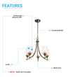 5-Lights Chandelier Light - Brass Gold Finish with Clear Glass Shades, E26 Socket, UL Listed for Damp Location, 3 Years Warranty Load image into Gallery viewer, 5-Lights Chandelier Light - Brass Gold Finish with Clear Glass Shades, E26 Socket, UL Listed for Damp Location, 3 Years Warranty