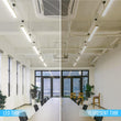 T8 4ft LED Tube/Bulb - Glass 18W 1800 Lumens 5000K Clear, Plug N Play, Double End Power - Ballast Compatible (Check Compatibility List) Load image into Gallery viewer, T8 4ft LED Tube/Bulb - Glass 18W 1800 Lumens 5000K Clear, Plug N Play, Double End Power - Ballast Compatible (Check Compatibility List)