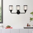 Birdcage Shape Bathroom Light Fixtures, Wall Mount, Matte Black with Clear Glass Shade, 1-Light/2-Light/3-Light, E26 Base, For Damp Locations, Vanity Lighting Load image into Gallery viewer, Birdcage Shape Bathroom Light Fixtures, Wall Mount, Matte Black with Clear Glass Shade, 1-Light/2-Light/3-Light, E26 Base, For Damp Locations, Vanity Lighting