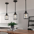 Load image into Gallery viewer, 1 - Light Birdcage Shape Pendant Light, Matte Black Finish, Clear Glass Shade, E26 Base, UL Listed - LEDMyPlace