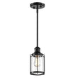 Load image into Gallery viewer, 1 - Light Birdcage Shape Pendant Light, Matte Black Finish, Clear Glass Shade, E26 Base, UL Listed - LEDMyPlace