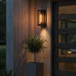 Load image into Gallery viewer, 1 Light Outdoor Wall Sconce, Black, Clear Glass, E26 Base, 1X60W, Wall Light Fixtures - 5.31"L x 6.93"W x 15.94"H - LEDMyPlace