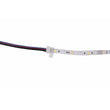 Load image into Gallery viewer, 22AWG, 5 Pin, 10mm Width PCB, RGBW Strip - to - Wire - LEDMyPlace