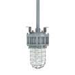 Load image into Gallery viewer, 30 Watt LED Explosion Proof Jelly Jar Light, G Series, Dimmable, 5000K, 4050LM, AC100 - 277V, IP66, Hazardous Location Lighting Fixtures - LEDMyPlace