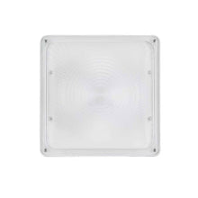Load image into Gallery viewer, LED Canopy Light with 30W-70W Selectable Wattage &amp; 3000K-5000K CCT– White