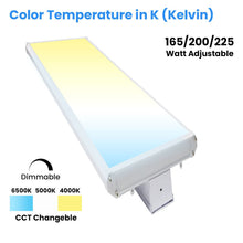 Load image into Gallery viewer, 4FT Linear LED High Bay Light 165W/200W/225W Wattage Adjustable, 4000k/5000K/6500K CCT Changeable, Dip Switch, 0 - 10V Dim, 120 - 277V Input Voltage, ETL, DLC 5.1 Listed - LEDMyPlace