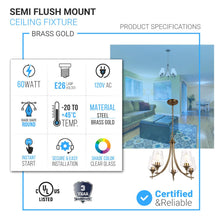 Load image into Gallery viewer, 5 - Lights Chandelier Light - Brass Gold Finish with Clear Glass Shades, E26 Socket, UL Listed for Damp Location, 3 Years Warranty - LEDMyPlace