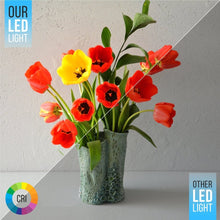 Load image into Gallery viewer, 6" 12W LED Slim Panel Recessed Ceiling Light CCT Changeable 2700K/3000K/3500K/4000K/5000K, with Junction Box, Round - LEDMyPlace