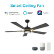 Load image into Gallery viewer, Appleton 52 Inch 5 - Blade Best Smart Ceiling Fan With Led Light Kit &amp; Remote Control - Black/Black (Gold Detail) - LEDMyPlace