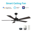 Load image into Gallery viewer, APPLETON 56 inch 5 - Blade Smart Ceiling Fan with Remote &amp; LED Light - LEDMyPlace
