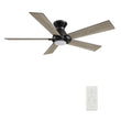 Load image into Gallery viewer, ASCENDER 48 inch 5 - Blade Flush Mount Smart Ceiling Fan with LED Light &amp; Remote - LEDMyPlace