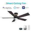 Load image into Gallery viewer, ASCENDER 52 inch 5 - Blade Flush Mount Smart Ceiling Fan with Remote &amp; LED Light - LEDMyPlace