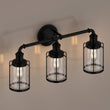 Load image into Gallery viewer, Birdcage Shape Bathroom Light Fixtures, Wall Mount, Matte Black with Clear Glass Shade, 1 - Light/2 - Light/3 - Light, E26 Base, For Damp Locations, Vanity Lighting - LEDMyPlace