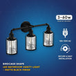 Load image into Gallery viewer, Birdcage Shape Bathroom Light Fixtures, Wall Mount, Matte Black with Clear Glass Shade, 1 - Light/2 - Light/3 - Light, E26 Base, For Damp Locations, Vanity Lighting - LEDMyPlace