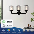 Load image into Gallery viewer, Birdcage Shape Bathroom Light Fixtures, Wall Mount, Matte Black with Clear Glass Shade, 1 - Light/2 - Light/3 - Light, E26 Base, For Damp Locations, Vanity Lighting - LEDMyPlace