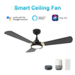 Load image into Gallery viewer, BRISA 52 inch 3 - Blade Smart Ceiling Fan with LED Light &amp; Remote - LEDMyPlace