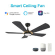 Load image into Gallery viewer, BRISA 52 inch 5 - Blade Smart Ceiling Fan with LED Light &amp; Remote - LEDMyPlace