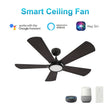 Load image into Gallery viewer, BRISA 52 inch 5 - Blade Smart Ceiling Fan with LED Light &amp; Remote - LEDMyPlace