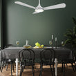 Load image into Gallery viewer, BRISA 56 inch 3 - Blade Smart Ceiling Fan with LED Light &amp; Remote - LEDMyPlace