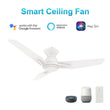 Load image into Gallery viewer, CALEN 48 inch 3 - Blade Flush Mount Smart Ceiling Fan with LED Light &amp; Remote - LEDMyPlace