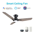 Load image into Gallery viewer, CALEN 52 inch 3 - Blade Flush Mount Smart Ceiling Fan with LED Light &amp; Remote - LEDMyPlace