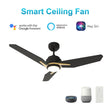 Load image into Gallery viewer, CALEN 52 inch 3 - Blade Smart Ceiling Fan with LED Light &amp; Remote - LEDMyPlace