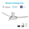 Load image into Gallery viewer, Daffodil 52 Inch 3 - Blade Flush Mount Best Smart Ceiling Fan With Led Light Kit And Remote - White/White - LEDMyPlace