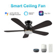 Load image into Gallery viewer, DUBOIS 48 inch 5 - Blade Flush Mount Smart Ceiling Fan with LED Light &amp; Remote - LEDMyPlace