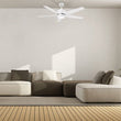 Load image into Gallery viewer, EMPIRE 52 inch 5 - Blade Ceiling Fan with LED Light &amp; Pull Chain - LEDMyPlace