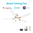 Load image into Gallery viewer, ESPEAR 52 inch Flush Mount 5 - Blade Smart Ceiling Fan with LED Light &amp; Remote - LEDMyPlace