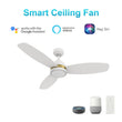 Load image into Gallery viewer, FREMONT 48 inch 3 - Blade Smart Ceiling Fan with LED Light &amp; Remote - LEDMyPlace