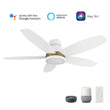 Load image into Gallery viewer, FREMONT 48 inch 5 - Blade Flush Mount Smart Ceiling Fan with LED Light &amp; Remote - LEDMyPlace