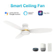 Load image into Gallery viewer, FREMONT 52 inch 3 - Blade Flush Mount Smart Ceiling Fan with LED Light &amp; Remote - LEDMyPlace