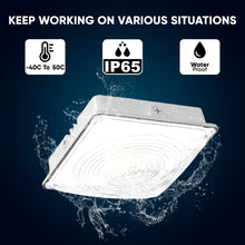 Load image into Gallery viewer, LED Canopy Light 75W 5700K Daylight 9750LM IP65 Waterproof 0 - 10V Dim 120 - 277VAC Surface or Pendant Mount, for Gas Stations Outdoor Area Light, White - LEDMyPlace