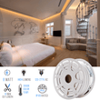 Load image into Gallery viewer, LED Neon Rope Light, AC120V, ETL, UL Listed (white), Indoor Outdoor IP65 Waterproof Ambient Decorative Light - LEDMyPlace