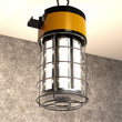 Load image into Gallery viewer, LED Temporary Work Lights with Cage, 100W 5000K, Plug and Play, Linkable, 12000LM, IP64, Portable Hanging Lighting for Construction Jobsite - LEDMyPlace