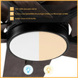 Load image into Gallery viewer, MONTGOMERY 52 inch 5 - Blade Smart Ceiling Fan with LED Light &amp; Remote - LEDMyPlace