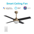 Load image into Gallery viewer, Neva 52 Inch 4 - Blade Best Smart Ceiling Fan With Led Light Kit &amp; Best Smart Wall Switch - Gold/Black - LEDMyPlace