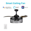 Load image into Gallery viewer, Paloma 42 Inch 3 - Blade Retractable Best Smart Ceiling Fan With Wall Switch - LEDMyPlace
