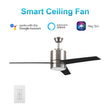 Load image into Gallery viewer, Raiden 52 Inch 3 - Blade Best Smart Ceiling Fan With Led Light Kit &amp; Best Smart Wall Switch - Silver/Black &amp; Light Wood (Reversible Blades) - LEDMyPlace