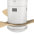 Load image into Gallery viewer, SPEZIA 52 inch 3 - Blade Flush Mount Smart Ceiling Fan with Remote &amp; LED Light - LEDMyPlace