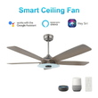 Load image into Gallery viewer, Striker 52 in. 5 - Blade Best Smart Ceiling Fan with Dimmable LED Light, Silver/Light Wood Finish, Works w/ Remote Control/Alexa/Google Home/Siri - LEDMyPlace