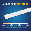Load image into Gallery viewer, T8 8ft LED Tube/Bulb - 48w/40w/36w/32w Wattage Adjustable, 130lm/w, 3000k/4000k/5000k/6500k CCT Changeable, Frosted, FA8 Single Pin, Double End Power - Ballast Bypass - LEDMyPlace