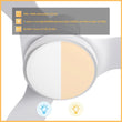 Load image into Gallery viewer, Vena 52 inch 3 - Blade Smart Ceiling Fan with LED Light &amp; Remote - LEDMyPlace