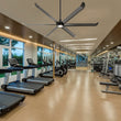 Load image into Gallery viewer, VINKA 60 inch 6 - Blade Ceiling Fan with LED Light &amp; Remote - LEDMyPlace